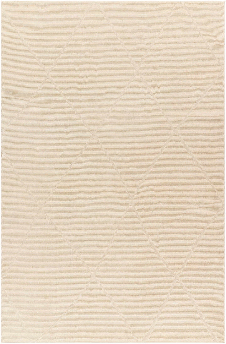 Aldis Modern Style Beige Washable Rug