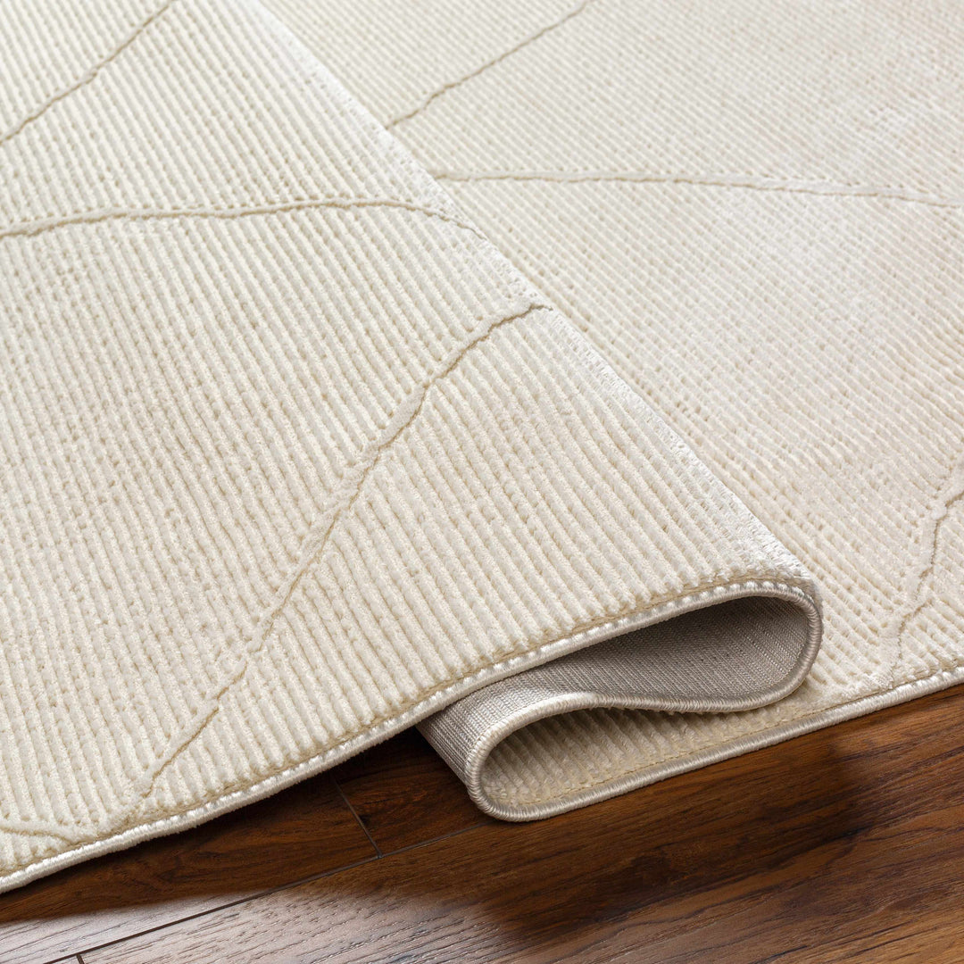 Aldis Modern Style Beige Washable Rug