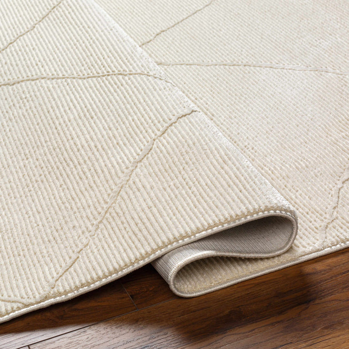 Aldis Modern Style Beige Washable Rug