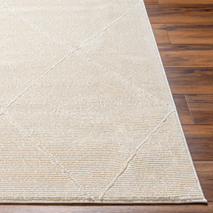 Aldis Modern Style Beige Washable Rug