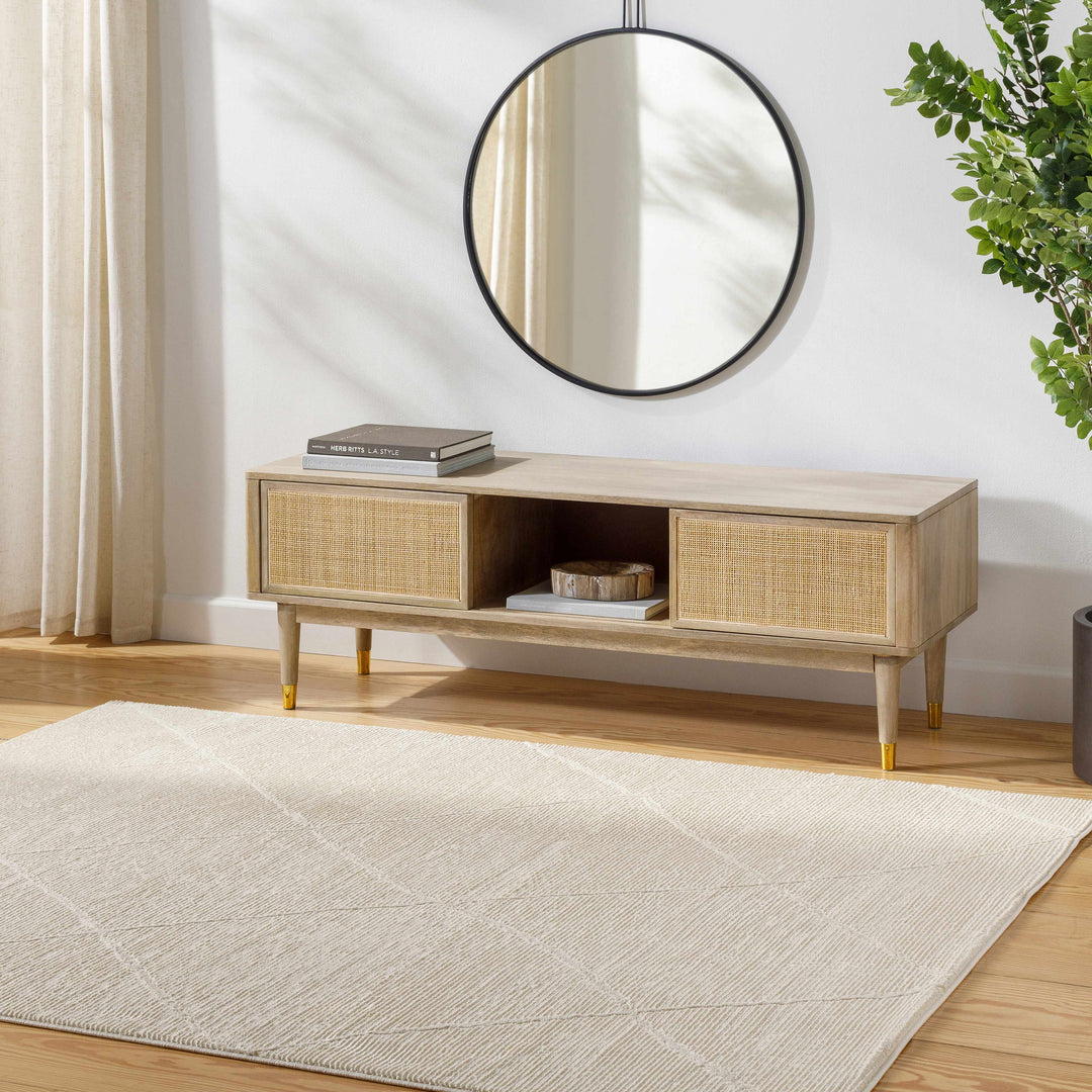 Aldis Modern Style Beige Washable Rug