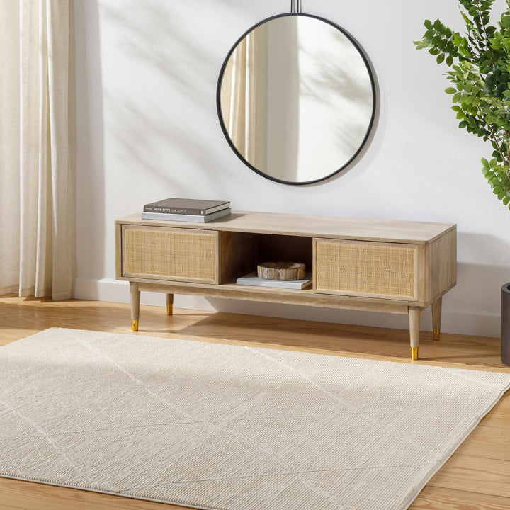 Aldis Modern Style Beige Washable Rug