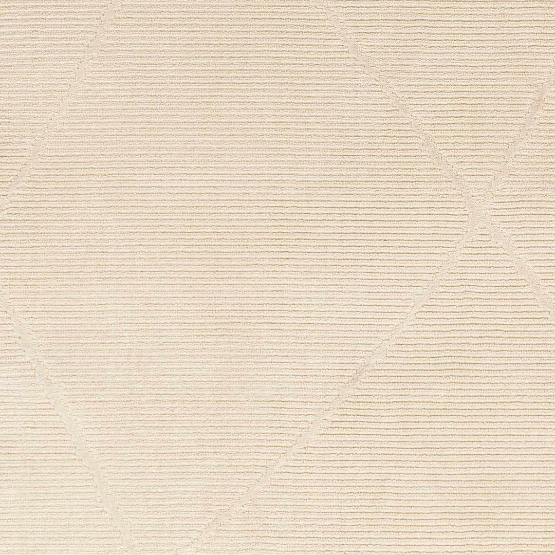 Aldis Modern Style Beige Washable Rug