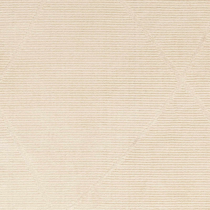 Aldis Modern Style Beige Washable Rug