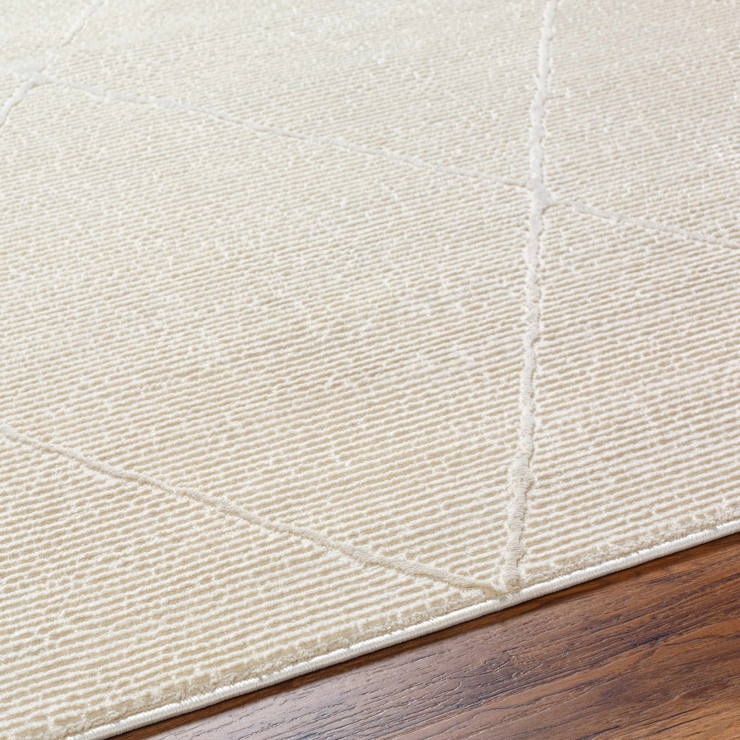 Aldis Modern Style Beige Washable Rug
