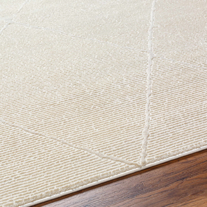 Aldis Modern Style Beige Washable Rug
