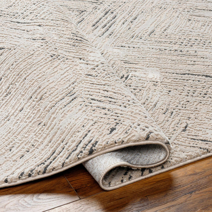 Garza Modern Style Beige And Charcoal Washable Rug
