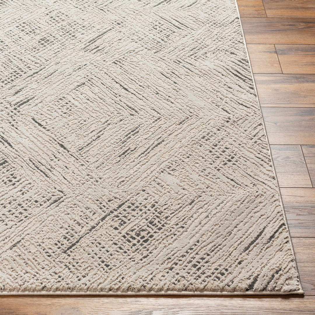 Garza Modern Style Beige And Charcoal Washable Rug
