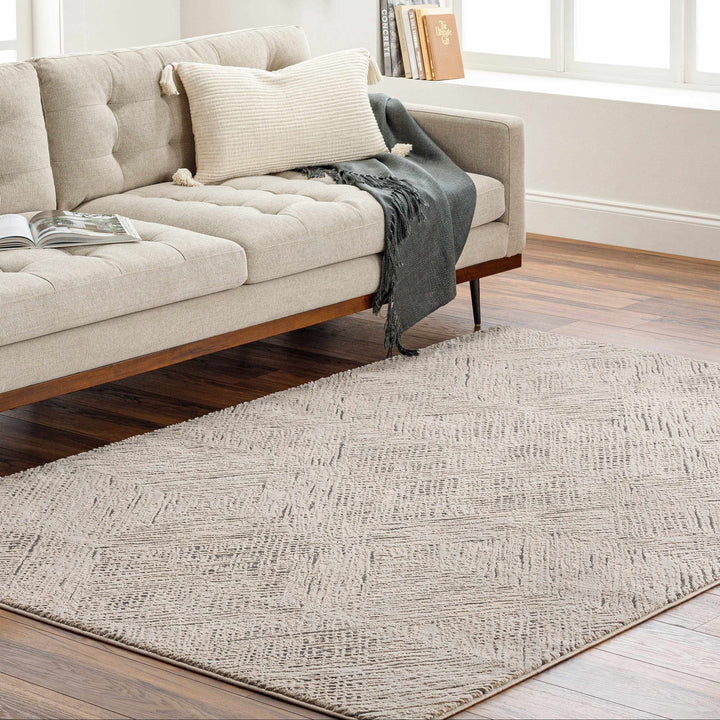 Garza Modern Style Beige And Charcoal Washable Rug