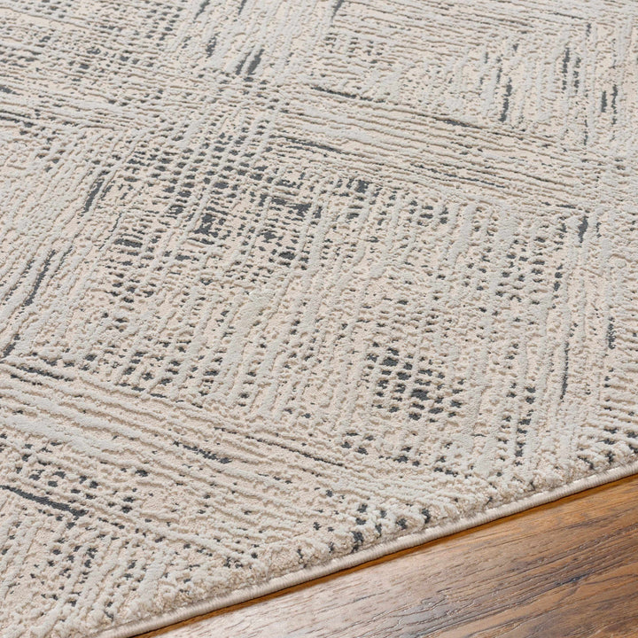 Garza Modern Style Beige And Charcoal Washable Rug