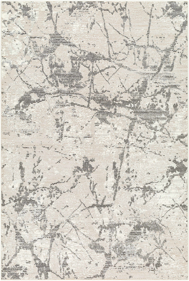 Ianto Modern Style Gray Washable Area Rug