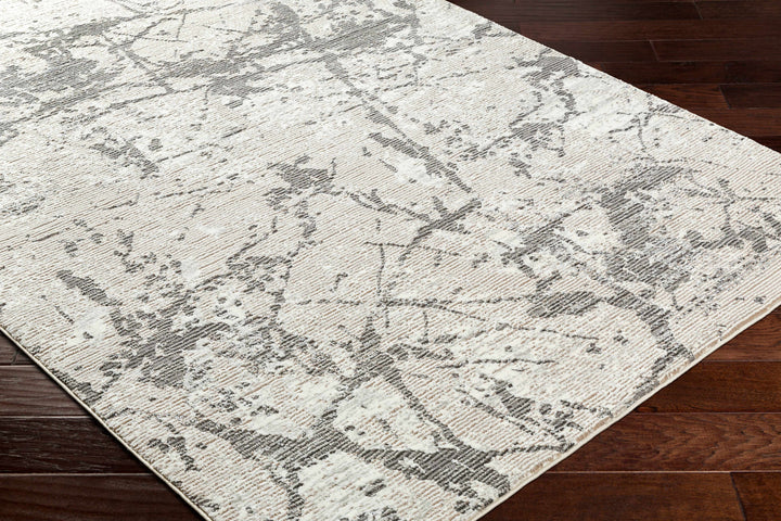 Ianto Modern Style Gray Washable Area Rug