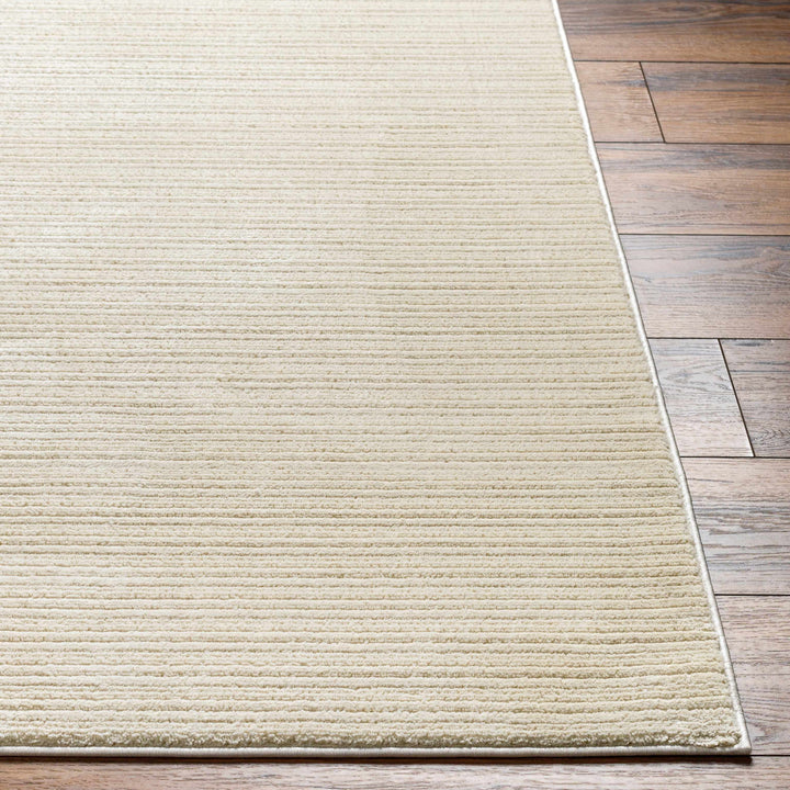 Kini Modern Stripe Pattern Beige Washable Rug