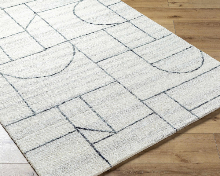 Sanaz Ivory Contemporary Style Hand Tufted Wool Area Rug - The Rug Decor