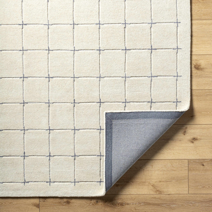 Sanvi Beige And Charcoal Contemporary Style Hand Tufted Area Rug - The Rug Decor