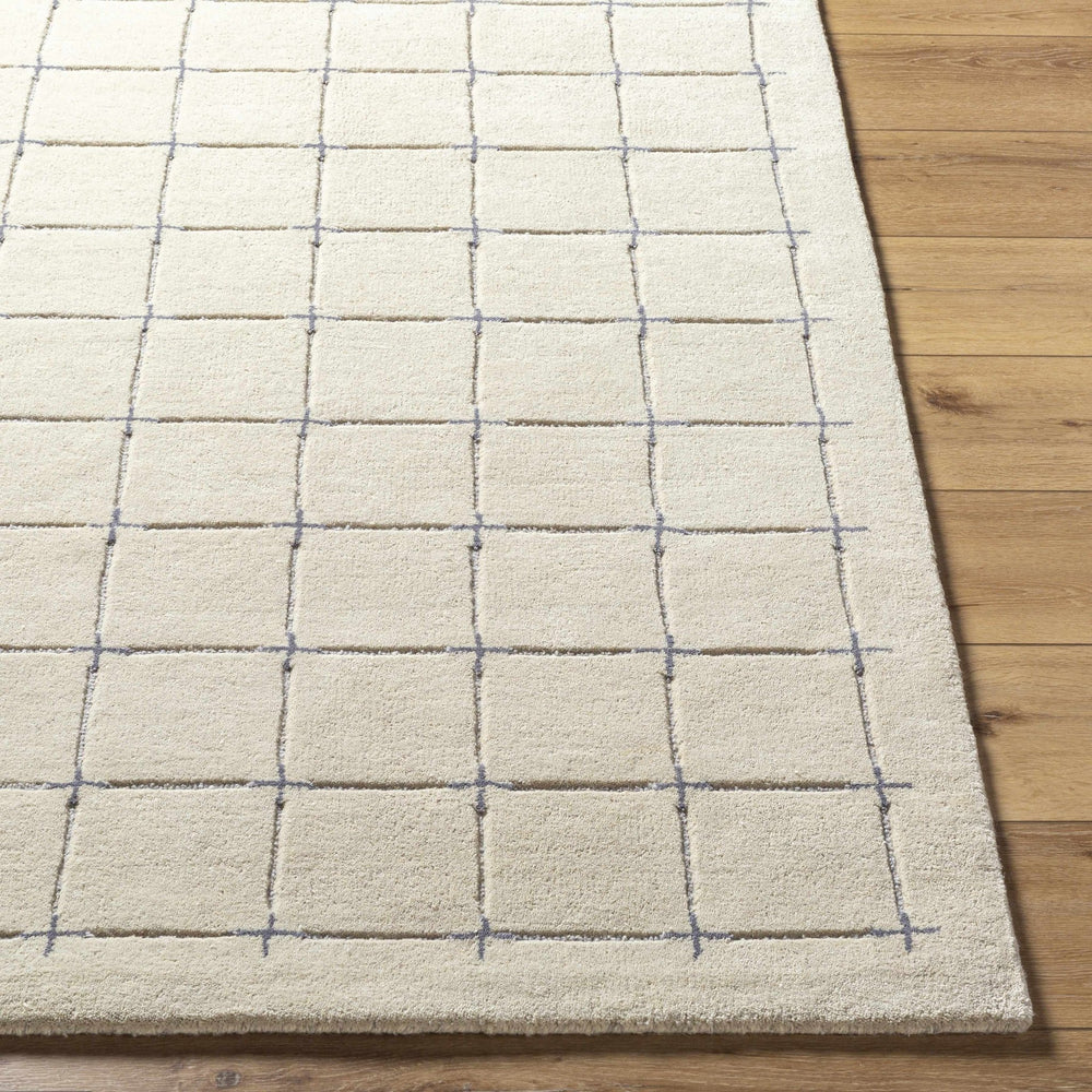 Sanvi Beige And Charcoal Contemporary Style Hand Tufted Area Rug - The Rug Decor