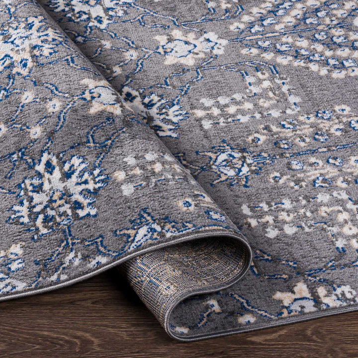 Sapinero Gray And Blue Traditional Floral Design Area Rug