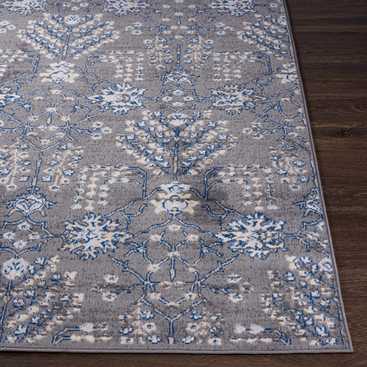 Sapinero Gray And Blue Traditional Floral Design Area Rug