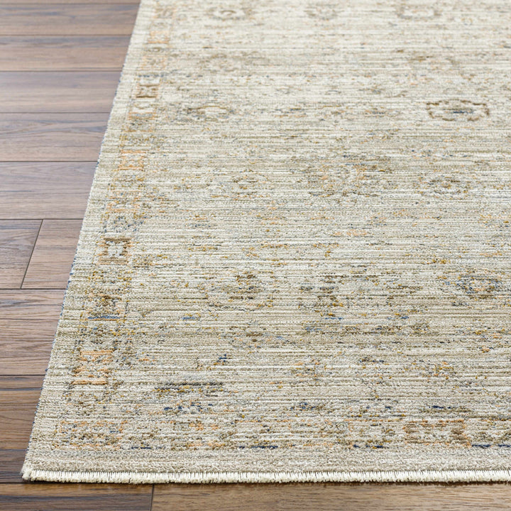 Mikia Traditional Gray Outdoor Machine Woven Rug