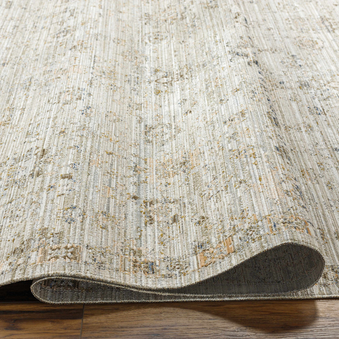 Mikia Traditional Gray Outdoor Machine Woven Rug