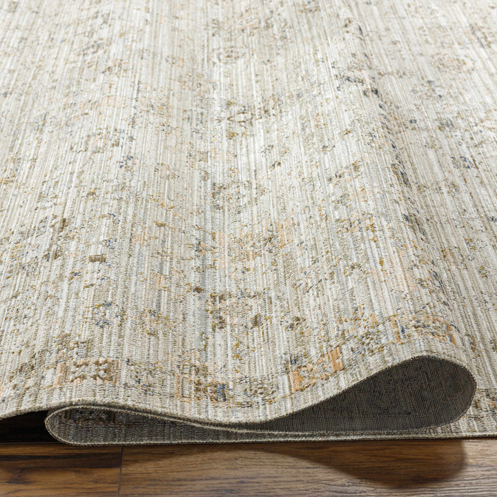 Mikia Traditional Gray Outdoor Machine Woven Rug