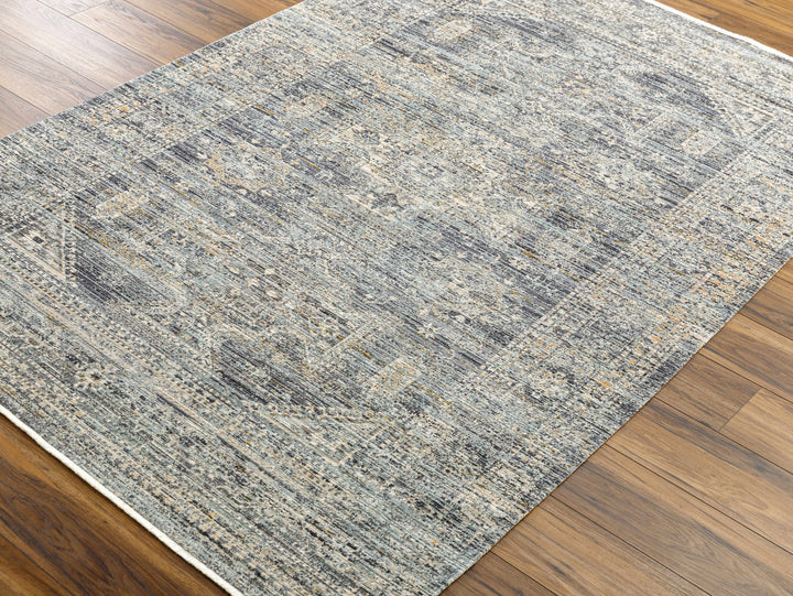 Perga Traditional Style Blue And Gray Washable Area Rug