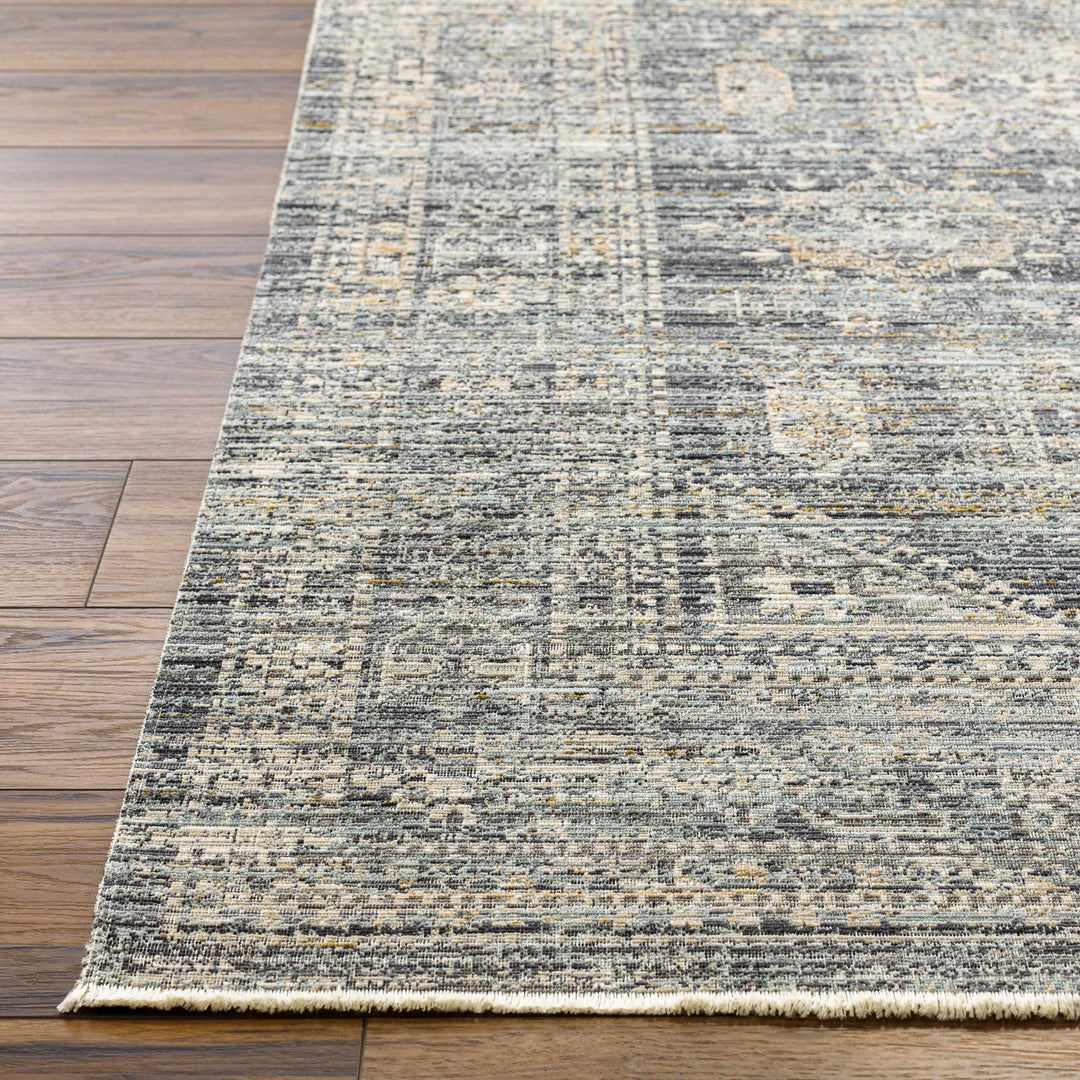 Perga Traditional Style Blue And Gray Washable Area Rug