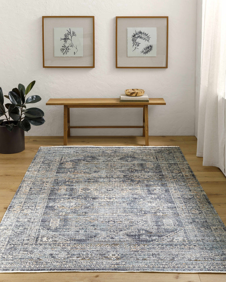 Perga Traditional Style Blue And Gray Washable Area Rug