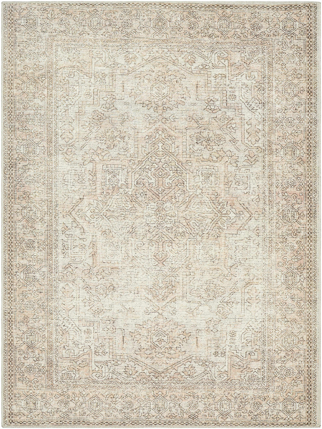Ginny Traditional Beige And Tan Machine Woven Rug