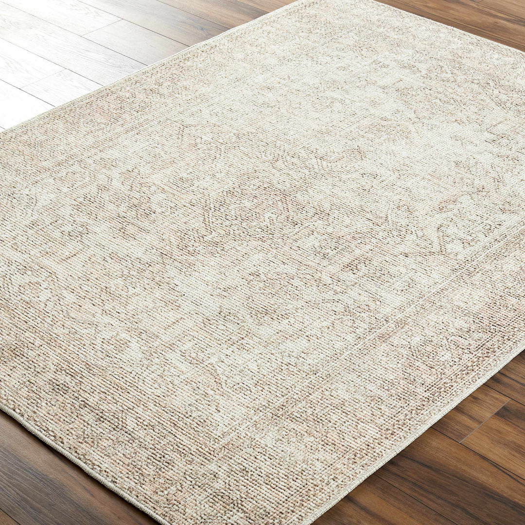 Ginny Traditional Beige And Tan Machine Woven Rug