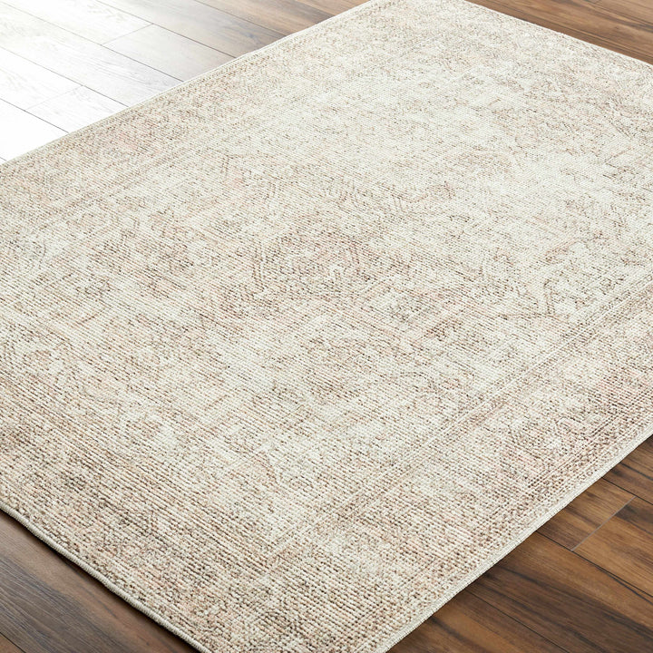 Ginny Traditional Beige And Tan Machine Woven Rug