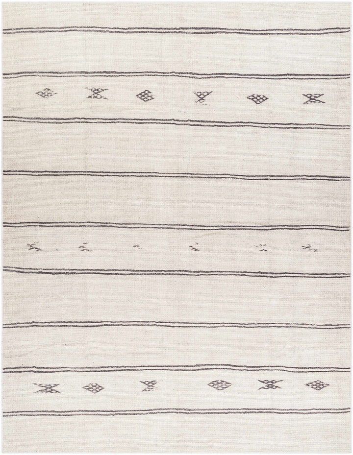 Jana Modern Stripe Pattern Beige Area Rug