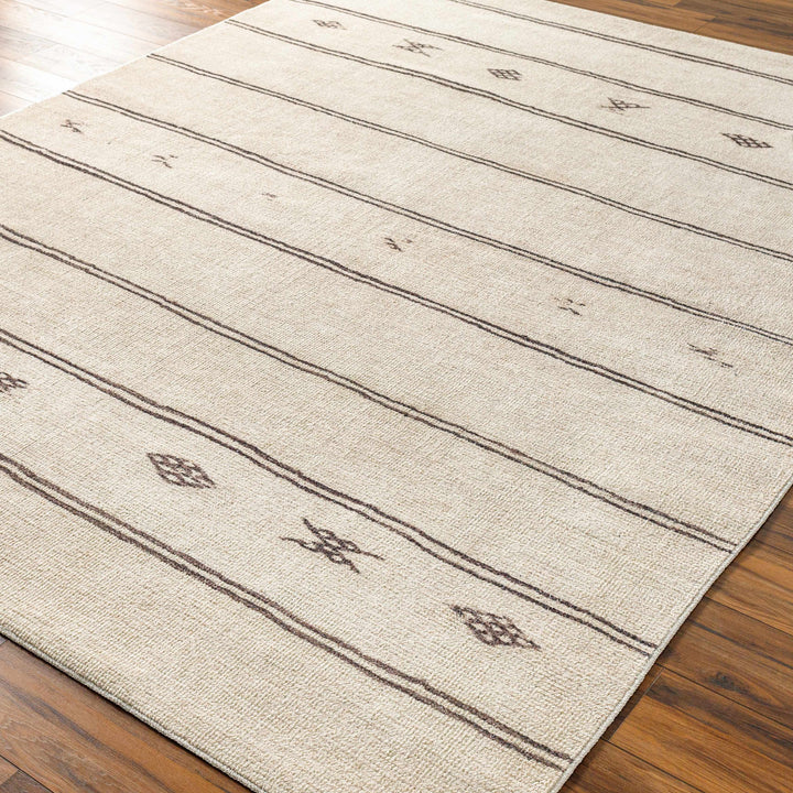 Jana Modern Stripe Pattern Beige Area Rug