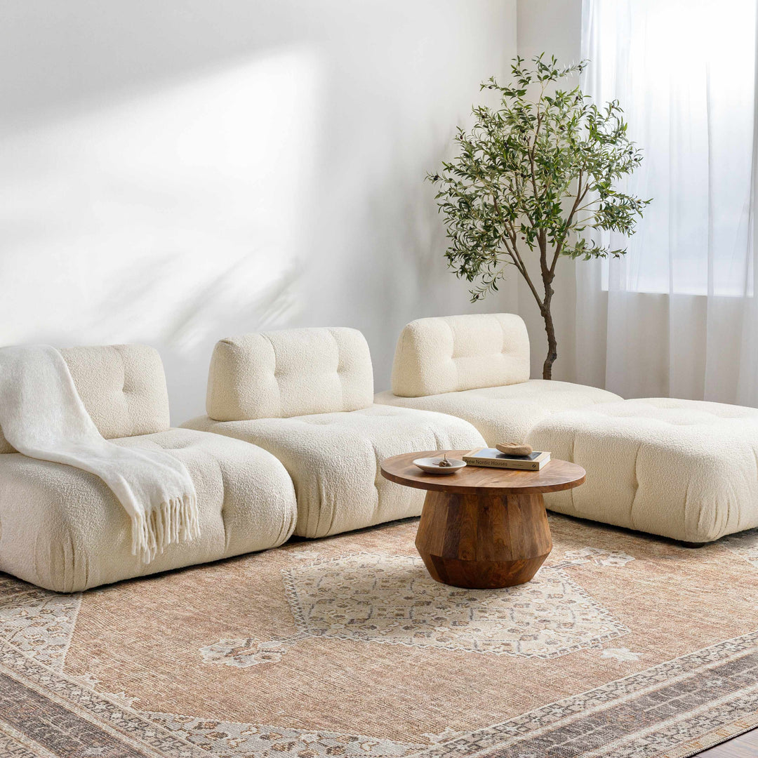 Haide Traditional Brown Machine Woven Rug