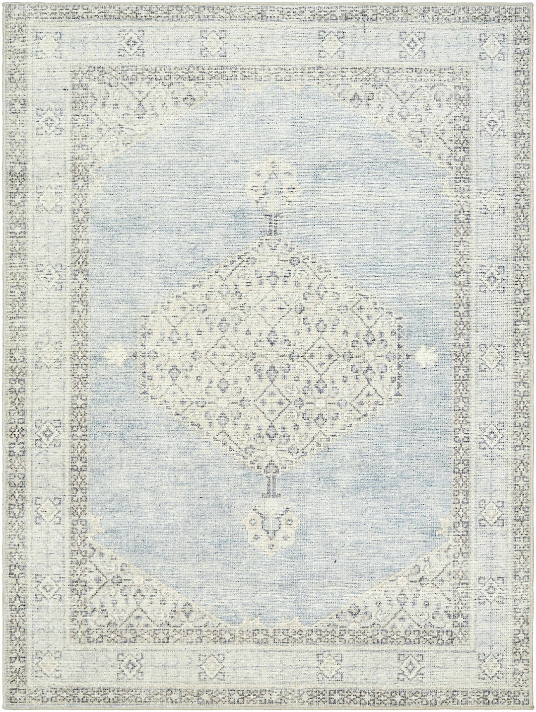 Haide Traditional Style Gray And Ivory Area Rug