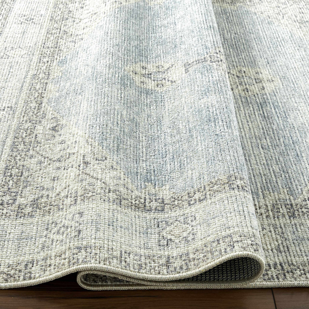 Haide Traditional Style Gray And Ivory Area Rug