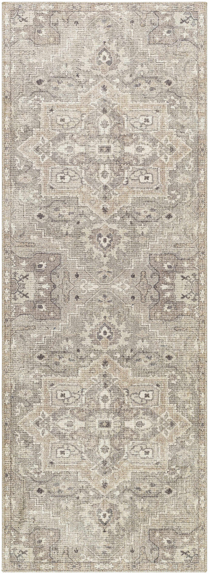 Esau Traditional Gray Machine Woven Area Rug