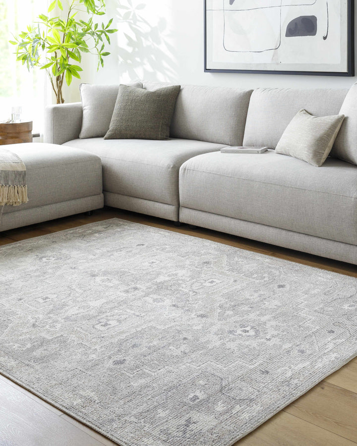 Esau Traditional Gray Machine Woven Area Rug