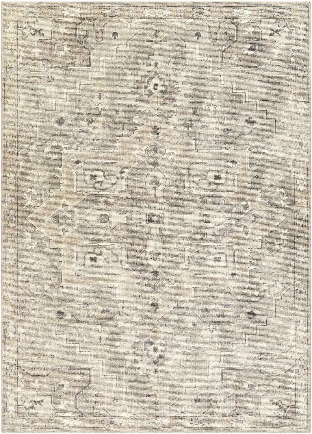 Esau Traditional Gray Machine Woven Area Rug