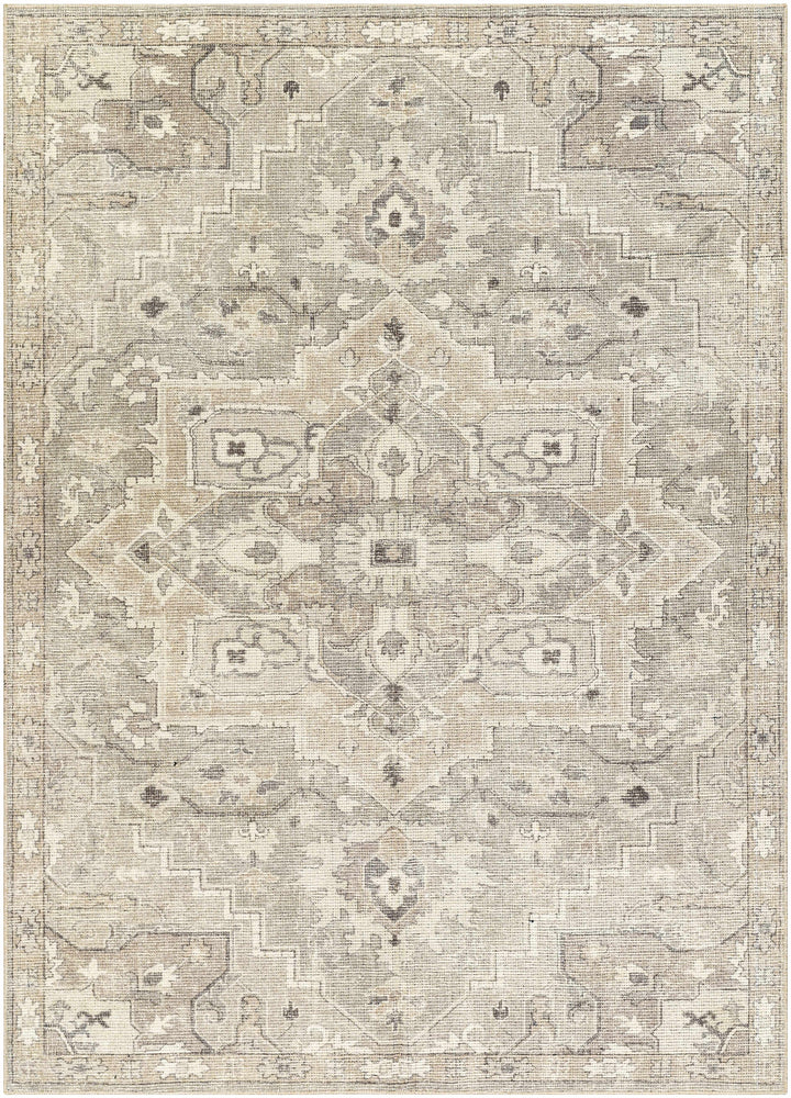Esau Traditional Gray Machine Woven Area Rug