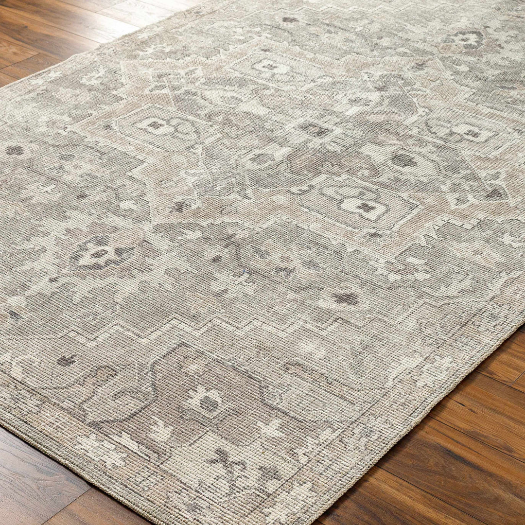 Esau Traditional Gray Machine Woven Area Rug