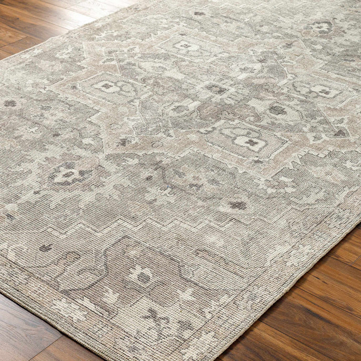 Esau Traditional Gray Machine Woven Area Rug