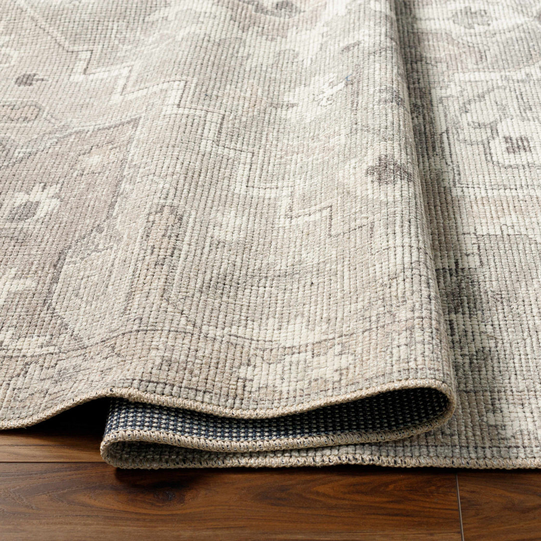 Esau Traditional Gray Machine Woven Area Rug