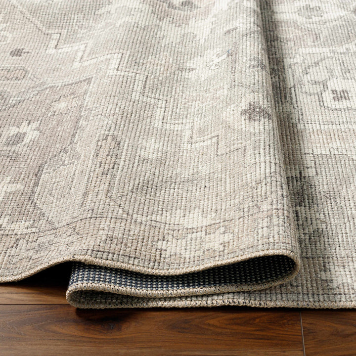 Esau Traditional Gray Machine Woven Area Rug