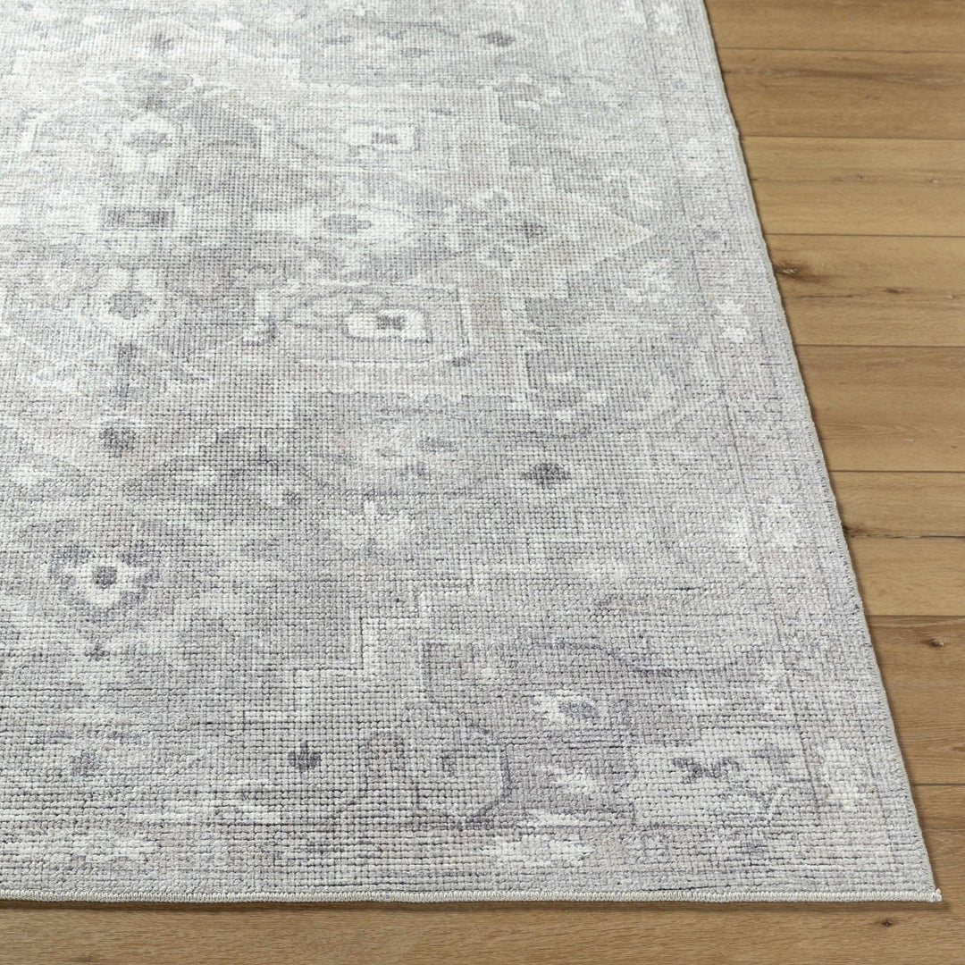 Esau Traditional Gray Machine Woven Area Rug