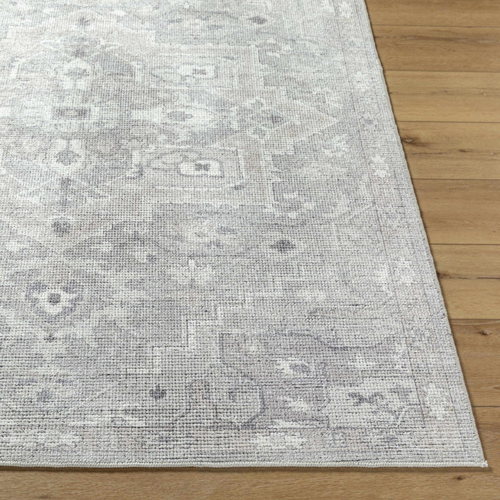 Esau Traditional Gray Machine Woven Area Rug