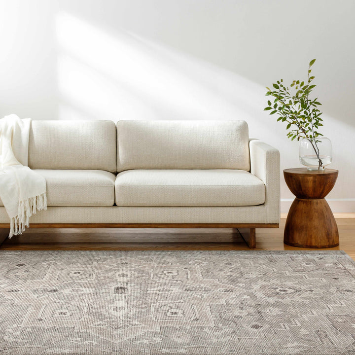 Esau Traditional Gray Machine Woven Area Rug