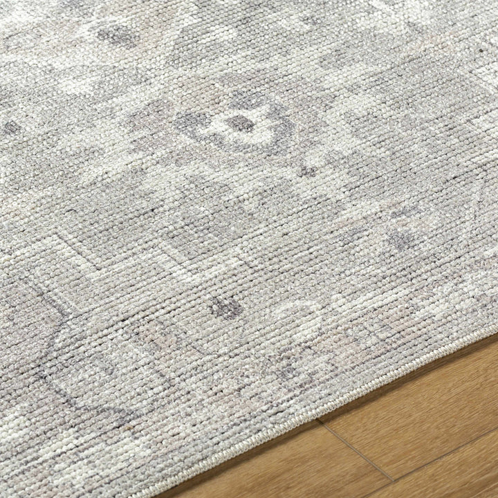 Esau Traditional Gray Machine Woven Area Rug