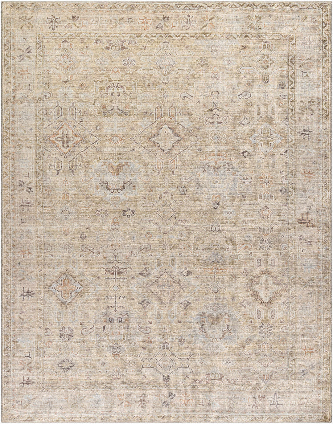 Nakia Traditional Style Tan And Brown Area Rug