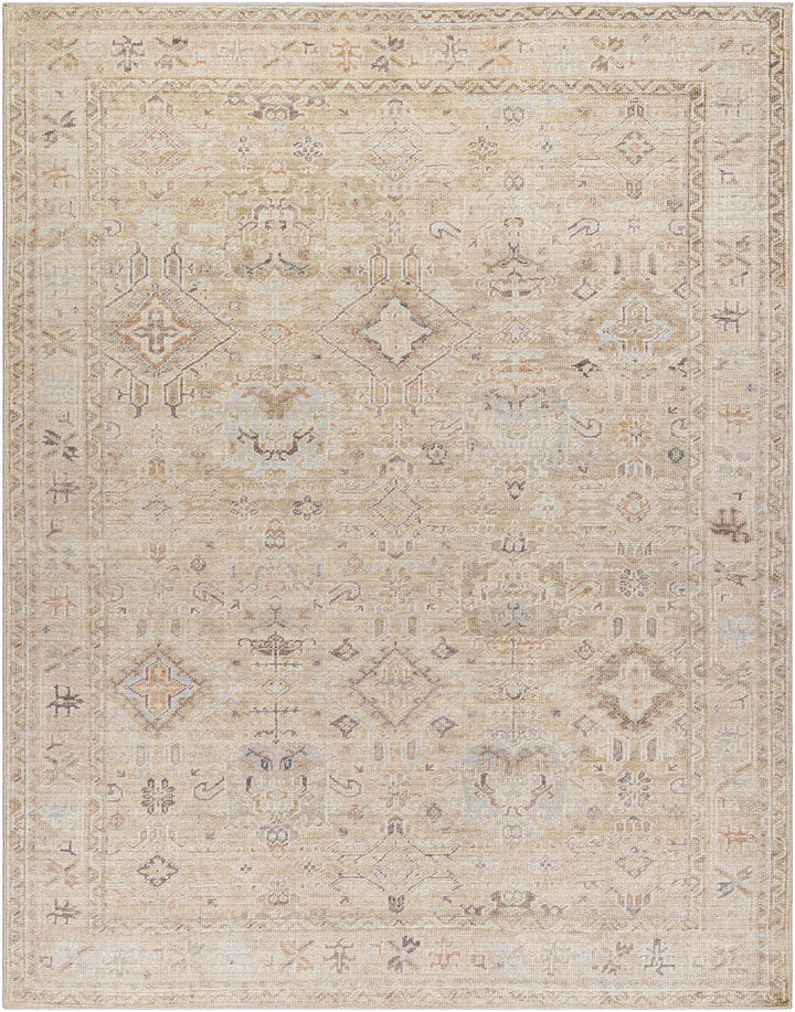 Nakia Traditional Style Tan And Brown Area Rug